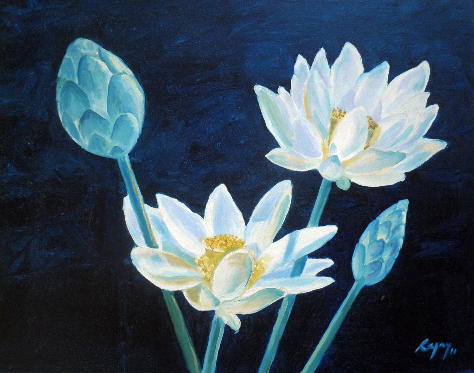 White Lotus
