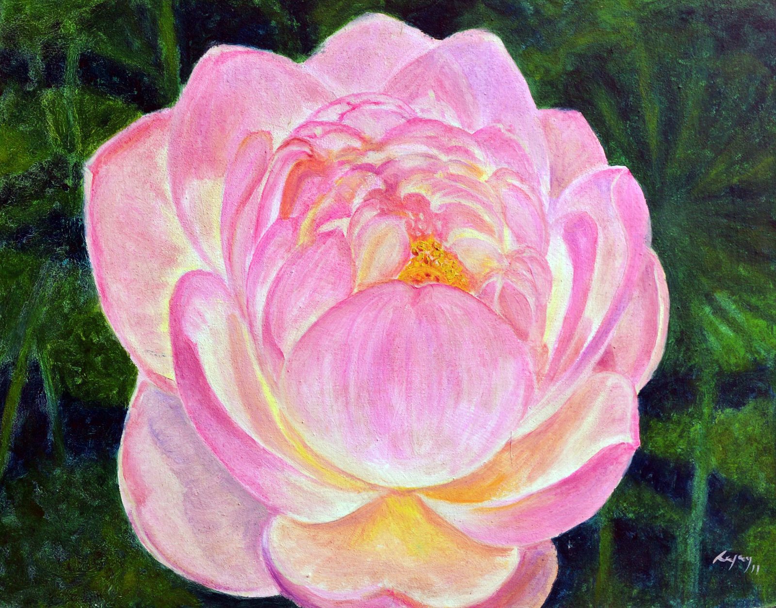 Pink Lotus