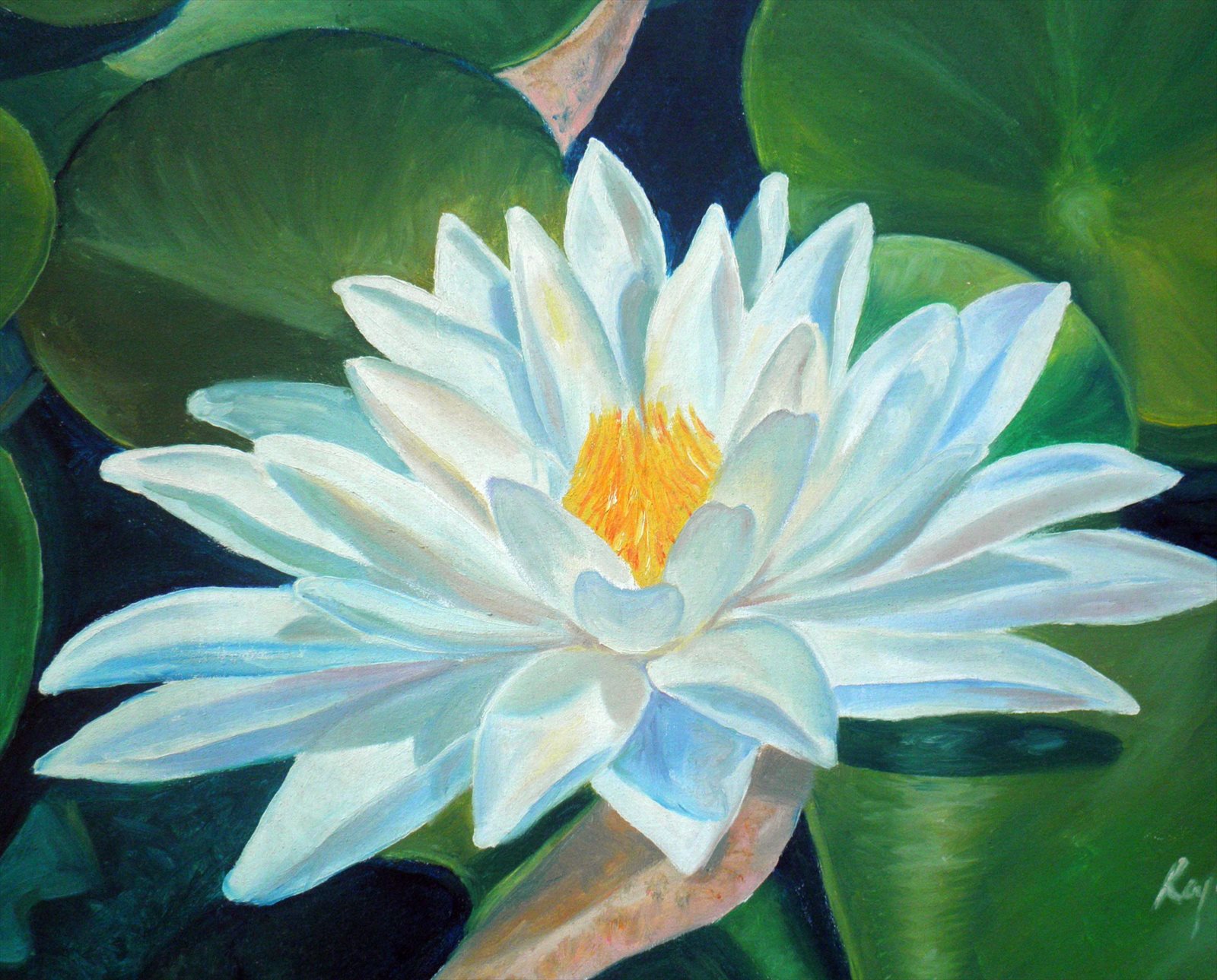 White Lily